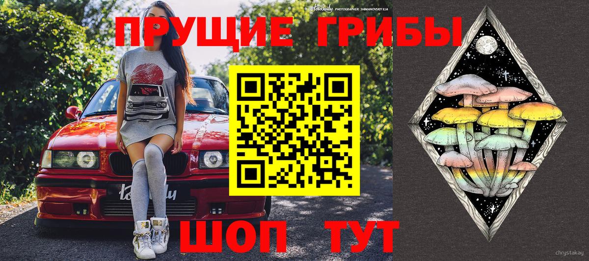 Нижнекамск  Галлюциногенные грибы MAGIC MUSHROOMS  Вход с VPN  Галлюциногенные грибы Psilocybe 